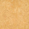 Van Gogh H01